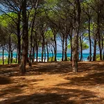 Lejlighedshotel Isa-apartments With Air Conditioning And External Outdoor Space In Budoni, At Only 300 M From The