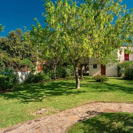 Apartahotel Isa-apartments With Air Conditioning And External Outdoor Space In Budoni, At Only 300 M From The