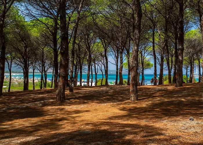 Appart hôtel Isa-apartments With Air Conditioning And External Outdoor Space In Budoni, At Only 300 M From The